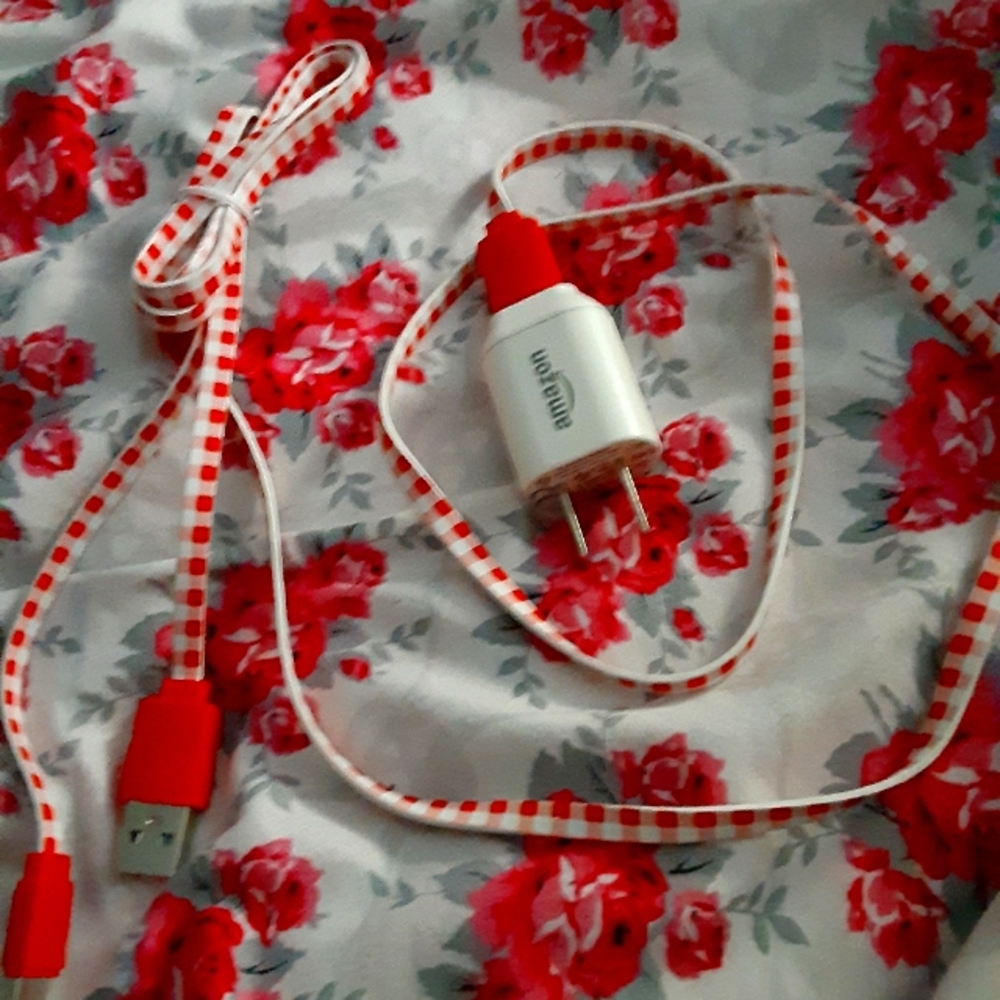 Plug and chord for for a C and USB